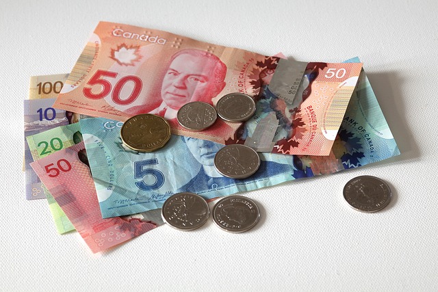 Dall’euro al dollaro canadese: effettuare il cambio valuta