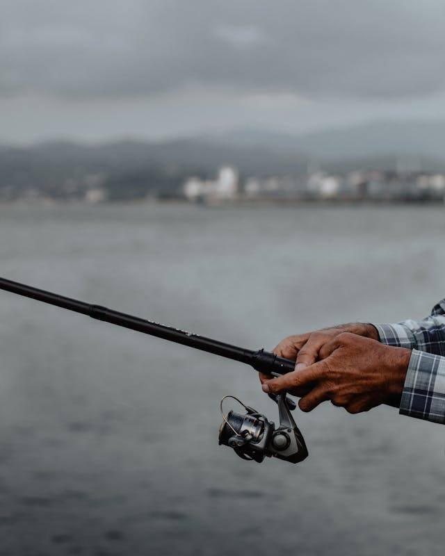 Pesca sportiva in laghetto: attrezzatura, tecniche e approccio per iniziare